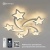Люстра светодиодная ESTARES ROOM star 100W 5S-APP-695x70-WHITE/WHITE-220-IP20 Управляемая