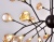 Потолочная люстра TR3021/36 DCF/TI темный кофе/янтарь G4/36 max 20W D750*650