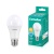 Лампа CAMELION LED13-A60/845/E27 220V 13W (1/10/100) Лампа CAMELION LED13-A60/845/E27 220V 13W (1/10/100)