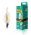 Лампа CAMELION LED12-CW35-FL/830/E14 220V 12W