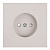Розетка 1-местная с защитной шторкой (механизм) б/з 250В 16А серия Мия RST16-3109-08 пудровый жемчуг