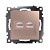 Розетка компьютерная 2-местная RJ-45 (механизм), серия Катрин, GLS00-7109-02, шампань