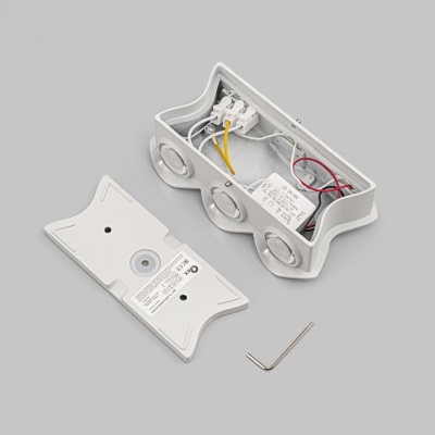 ИМИДЖ IL.0014.0019-6-WH Светильник настенный LED 6x1W 4200K Белый 220V IP54 