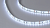 Лента светодиодная SWG SWG2120-24-9.6-W-65-М 2835, 120 LED/м, 9,6 Вт/м, 24В IP65 Холодный белый