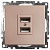 Розетка (механизм) 2-местная USB, серия Катрин, GLS10-7115-02, шампань, 250В, 2,4А (10/200)