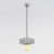 Светильник Elektrostandard 50167/1 подвесной серебряный