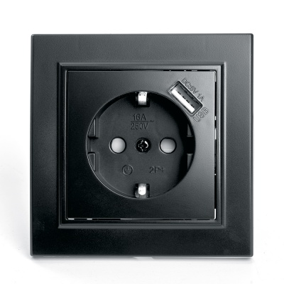 Розетка 1-местная с/з, с защитной шторкой и с USB, серия Эрна,PST16-9011-03, черный
