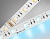 Светодиодная лента AMBRELLA GS4403 5050 60Led/ 10W m/ 24V IP20 RGBW+6500K/ 5000*10*1.87mm (5 конт.)