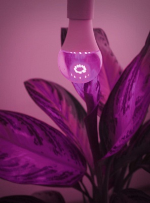 Фитолампа светодиодная А60 14Вт два режима UVA+IR E27 Фарлайт