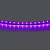 420518 Лента LIGHTSTAR LED 24V 12W 120leds/M 1600 LM/M purple IP20 1шт = 5м