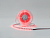 Лента светодиодная DSG DSG560-24-RGB-33 5050 60 LED/м 14,4 Вт/м 24В IP33 RGB 
