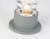 Светильник уличный ландшафтный ST2531 GR/CL серый/прозрачный IP54 E27 max 11W D108*200