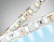 Светодиодная лента AMBRELLA GS1203 2835 120Led/ 9.6W m/ 12V IP65 6500K/ 5000*8*2.27mm (2 конт.)